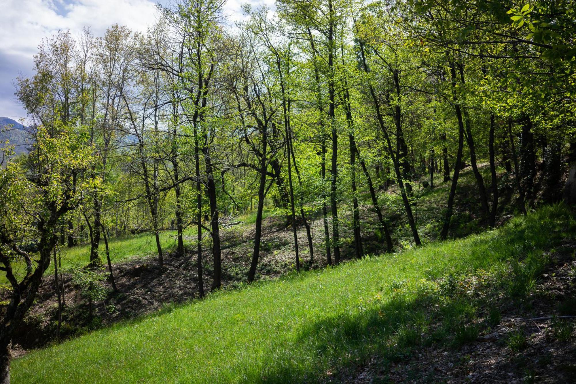 Holiday home Materin Roccaforte Mondovi